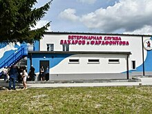 Первая в регионе: в Калининграде открылась ветклиника для лошадей и крупного рогатого скота