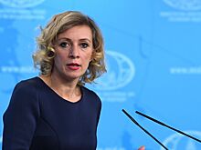 Захарова поставила диагноз скандалу с украинскими котами-русофилами