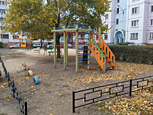 В Воронеже дворы благоустраивают в рамках приоритетного проекта и по наказам избирателей