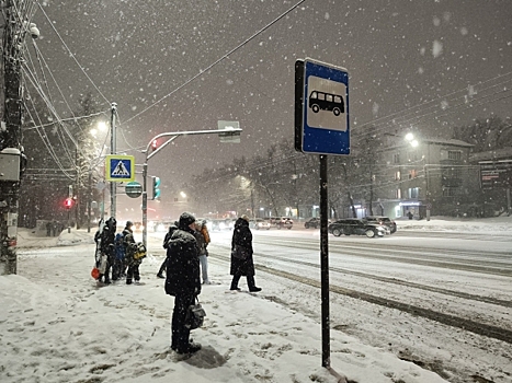 Школьников предлагают переводить на «дистант» в снегопады: инициатива Госдумы