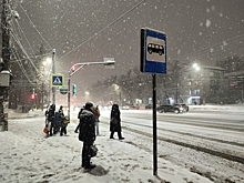 Школьников предлагают переводить на «дистант» в снегопады: инициатива Госдумы