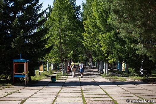 Только 14% детских турпутевок в Новосибирской области попали в программу кешбэка