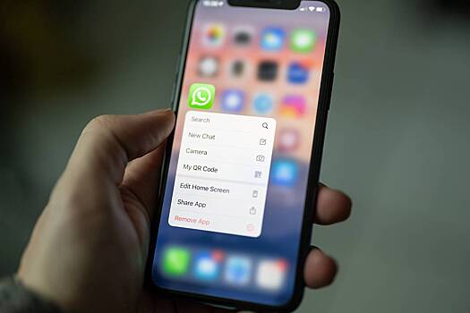 В Госдуме допустили пересмотр позиции по вопросу работы WhatsApp в РФ
