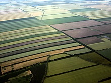 В Минкавказе отметили потенциал СКФО в области развития высокорентабельного сельского хозяйства
