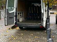 Кикшеринговые компании рассказали, будут ли электросамокаты убирать с улиц Калининграда на зимовку