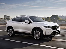 Продажи Knewstar в РФ резко пошли вверх, но бренду грозит исчезновение