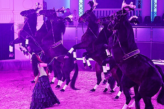 Москвичей приглашают на конный спектакль на ВДНХ