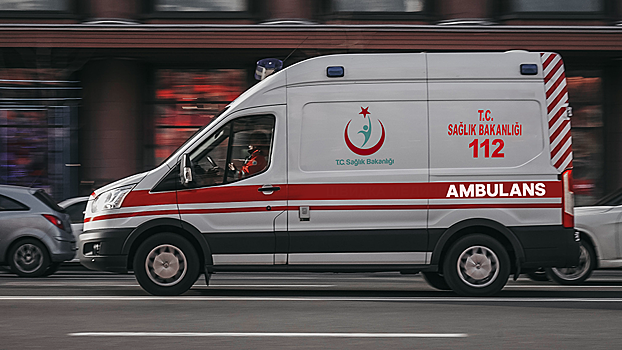 В Турции на 8 предприятиях обнаружили ящур