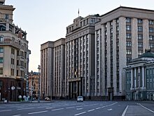 В ГД допустили признание WWF и Greenpeace иноагентами
