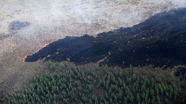 В Бурятии горит более 1200 гектаров тайги