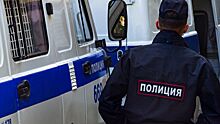 Жителя Петербурга задержали за убийство и расчленение матери