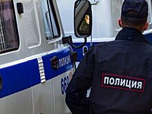 Цыганские дети избили 10-летнего мальчика в Новосибирске