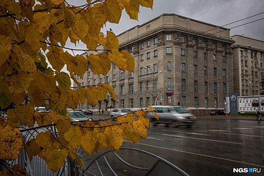 В Новосибирске объявили штормовое предупреждение из-за заморозков