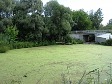 Воронежские реки стремительно мелеют