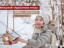 Движение ЭКА: мастер-класс по изготовлению кормушек