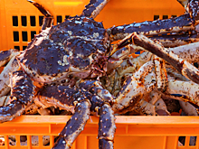 Дело «крабового короля» Олега Кана передали в суд