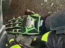 Эксперт: Заползшая в автомобиль к москвичу змея оказалась водяным ужом, который хотел согреться