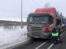 В Ленинградской области для задержания нетрезвого водителя автовоза инспекторы ДПС применили оружие