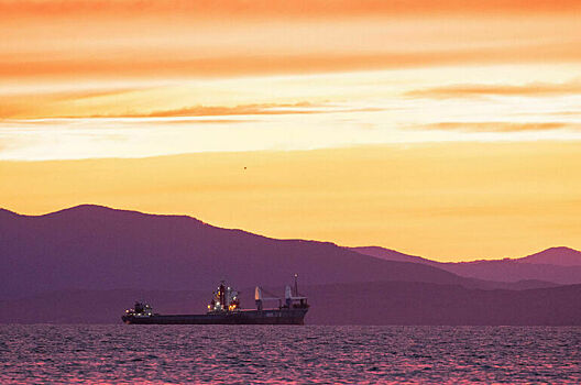 Капитанов судов и портов предложили обязать учитывать сезонные ограничения