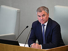 Володин призвал ликвидировать дисбаланс ветвей власти в Конституции РФ