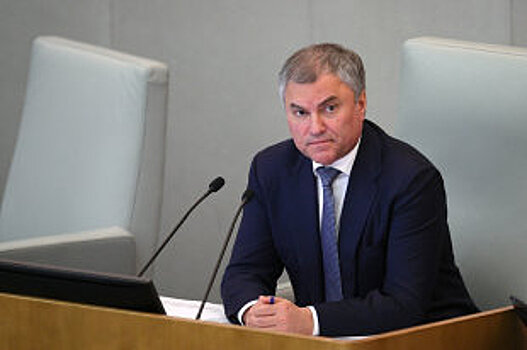 Володин призвал ликвидировать дисбаланс ветвей власти в Конституции РФ