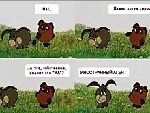 Депутаты Госдумы – граждане стран НАТО, а агент – ты. Путин разрешил признавать граждан иностранными агентами