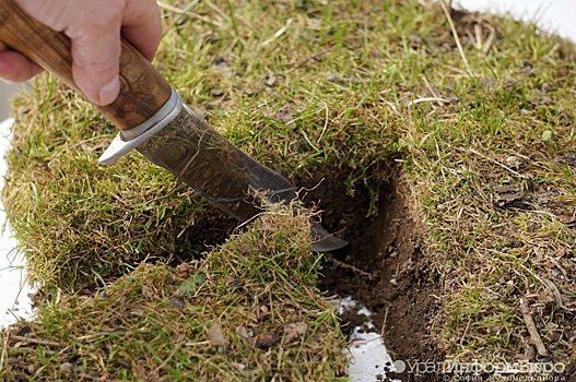 Силовики заинтересовались земельной политикой МУГИСО