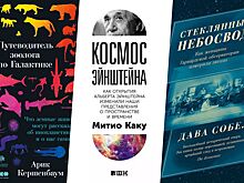 Что почитать о космосе — 10 интересных книг о космосе и далёких галактиках