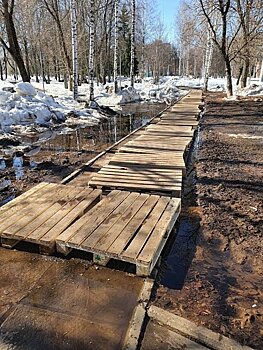 В УДПИ объяснили причину грязи в Кирове