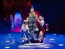 В Курской области «Губернаторскую ёлку» посетят 12 тысяч детей и взрослых