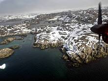 В Европе допустили новые угрозы Трампа в адрес Гренландии