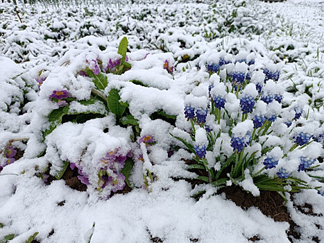 Погода сходит с ума – доставай пуховик! В Москву возвращается зима, последствия будут печальными