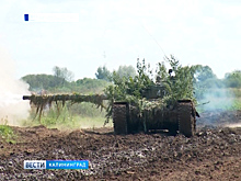 На полигоне в Добровольском состоялись масштабные военные учения