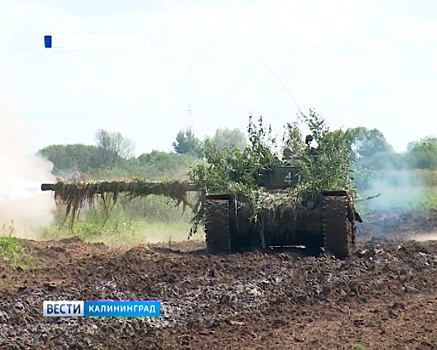 На полигоне в Добровольском состоялись масштабные военные учения