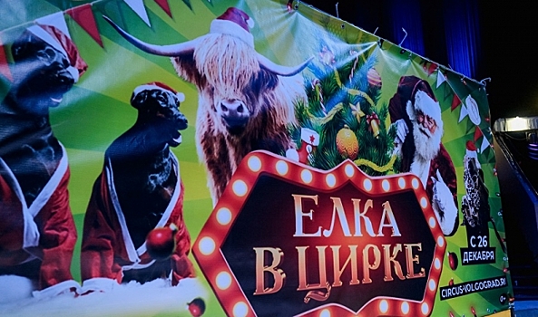 Цирк Волгограда встречает зрителей новой новогодней шоу-программой 