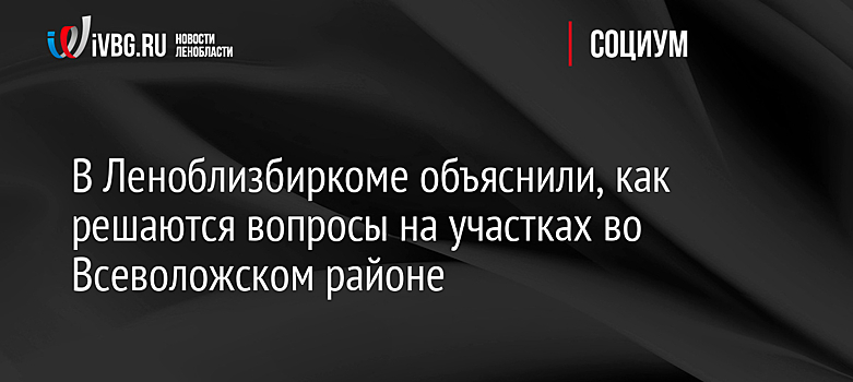 В Леноблизбиркоме объяснили, как решаются вопросы на участках во Всеволожском районе