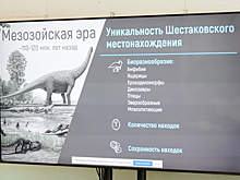 Туристический комплекс с динозаврами появится в Кузбассе