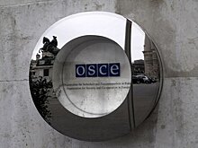 Польша превратила ОБСЕ в токсичное место – МИД РФ