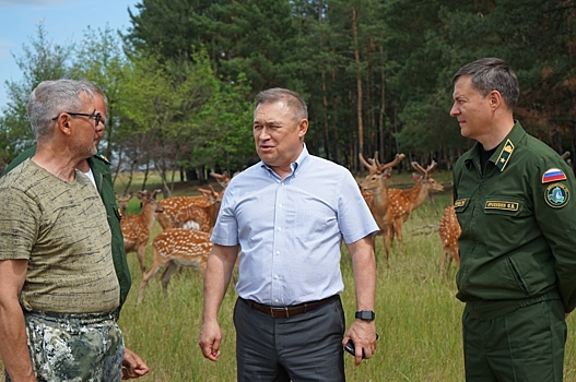 Олени, маралы, косули: еще 10 000 голов дичи выпустили донские питомники в охотхозяйства региона