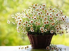 «Какие мои шансы?»: женщина ищет мужчину в 38 лет