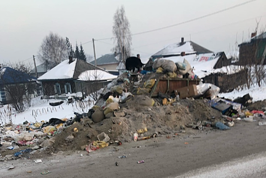 Кузбассовцев возмутила "обычная мусорка"