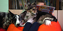 "Дети читают собакам" и другие волонтерские истории