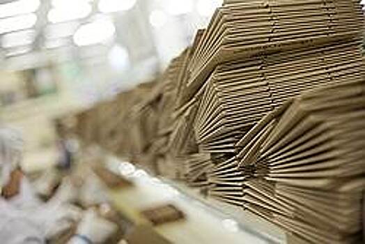 Завершается строительство бумажной фабрики в Тольятти