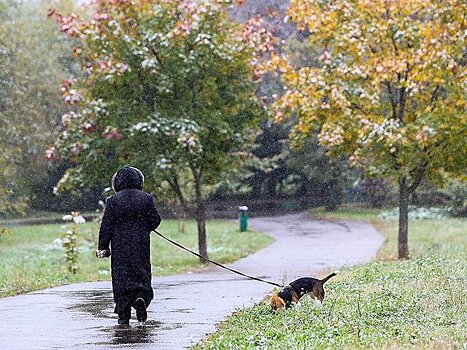Первый снег в Москве может выпасть уже в начале октября