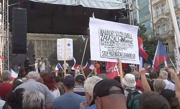 В Чехии 70 тыс. жителей вышли на акцию протеста. Их назвали пророссийскими