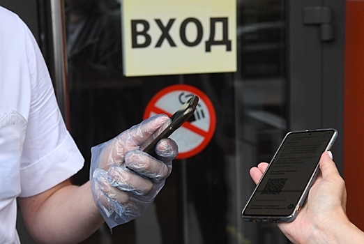 «Меры не работают»: В Госдуме оценили решение отложить законопроект о QR-кодах