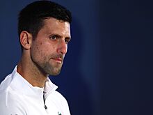 Хенмэн: публика на Australian Open совершенно неправильно поняла Джоковича