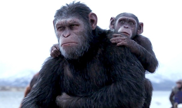 Какой была обезьяна, от которой ведёт свой род Homo sapiens -  Рамблер/новости