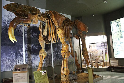 В Азовском музее-заповеднике пройдет экскурсия для людей с ограниченными возможностями