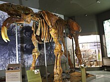 В Азовском музее-заповеднике пройдет экскурсия для людей с ограниченными возможностями